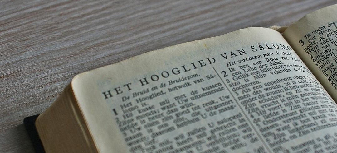 Refleksje nad Biblią