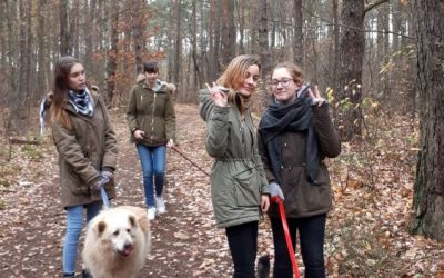 Wyjazd do schroniska dla zwierząt „Azorek”