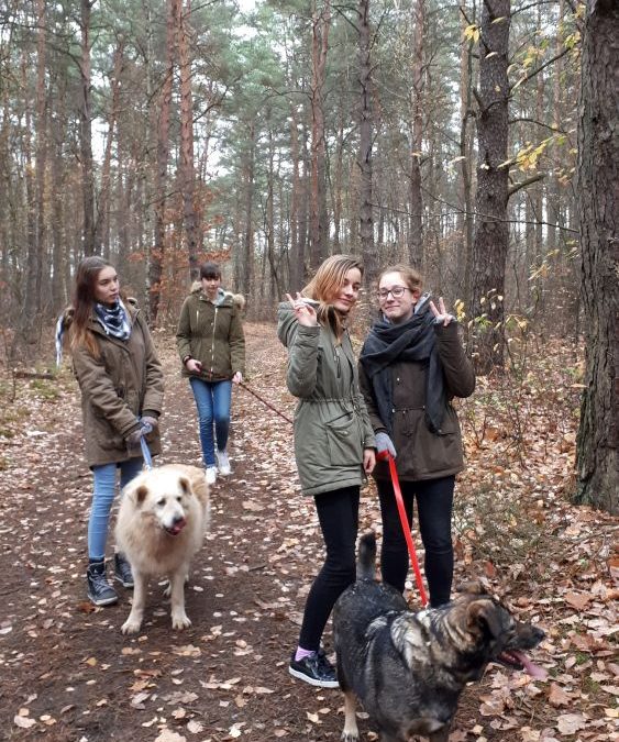 Wyjazd do schroniska dla zwierząt „Azorek”