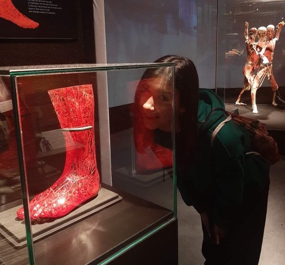 Body Worlds