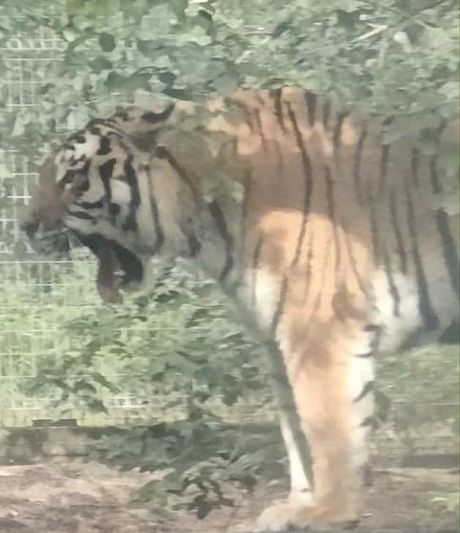 Lekcja biologii w poznańskim ZOO